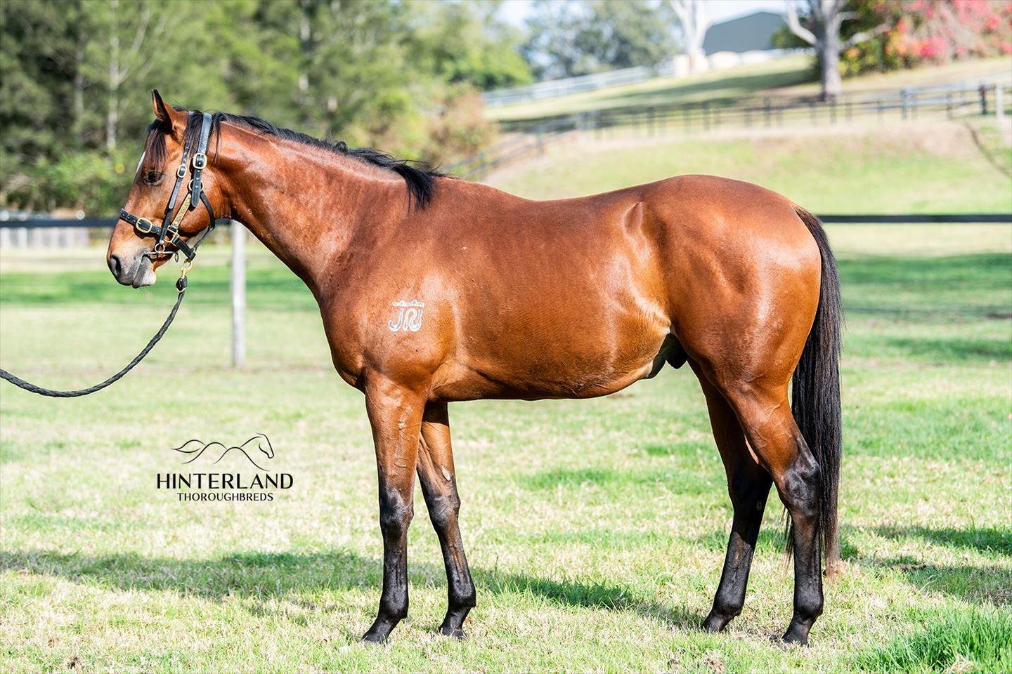 2024 MARCH (Late) Online Sale Inglis Digital Online Auctions